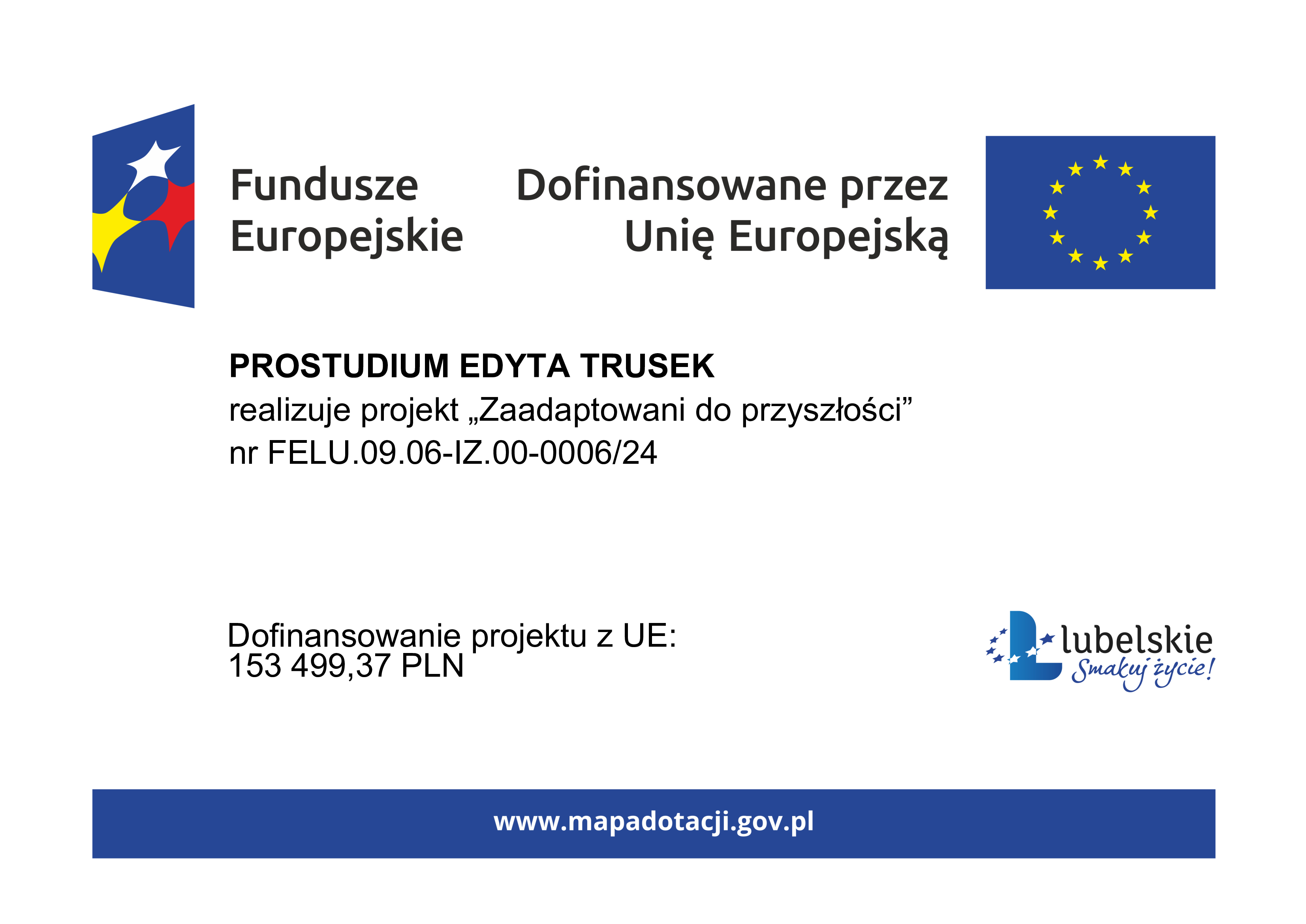 Zaadaptowani do przyszłości plakat informacyjny